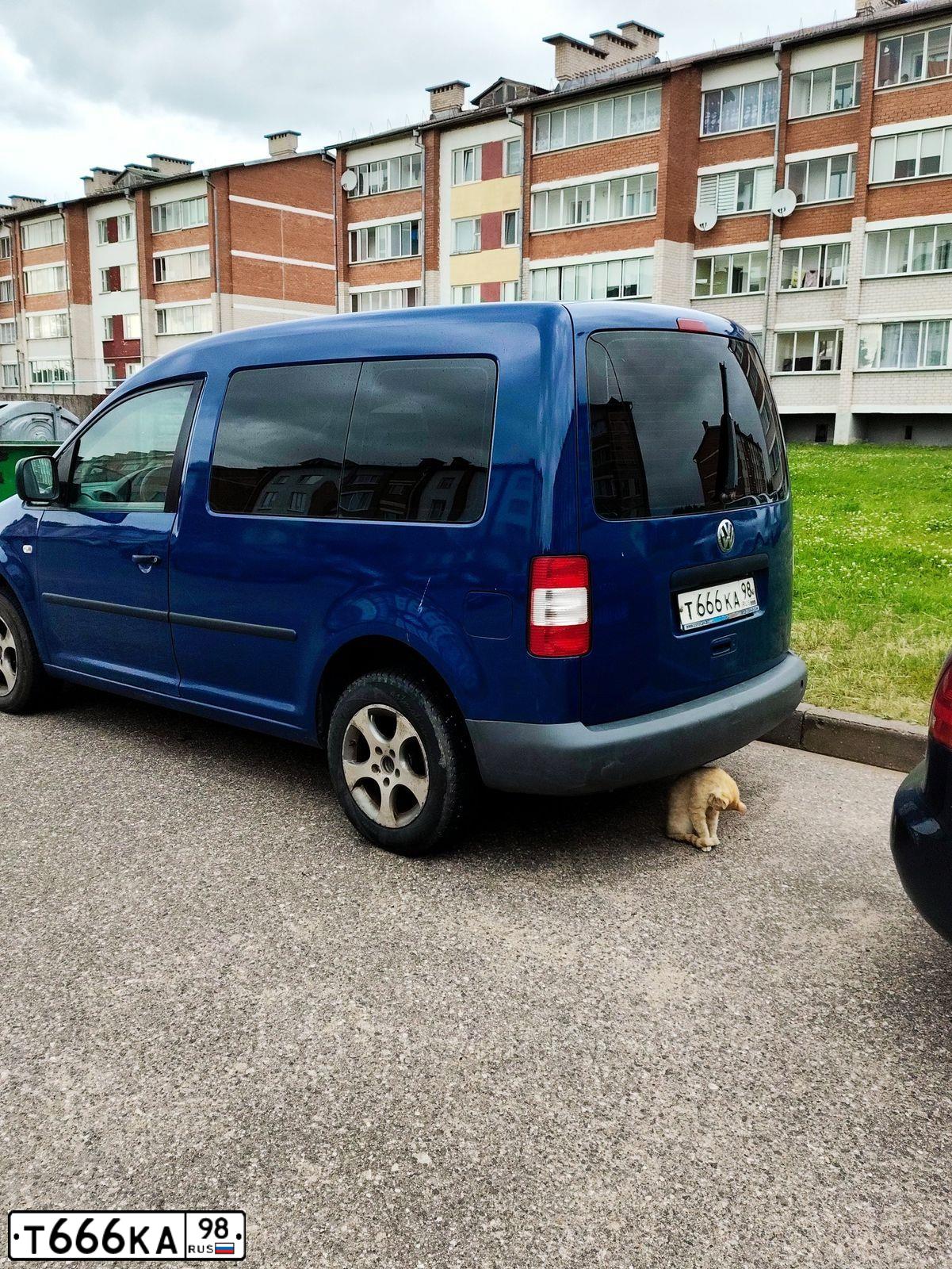 Фото автомобиля VOLKSWAGEN CADDY, 2008 — госномер Т666КА98. Цвет: ТЕМНО-СИНИЙ