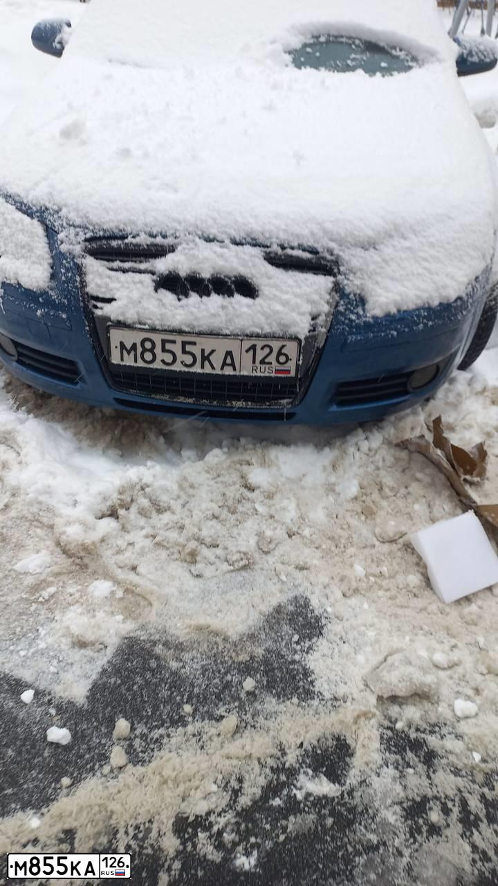 Фото автомобиля AUDI A3, 2007 — госномер М855КА126. Цвет: синий