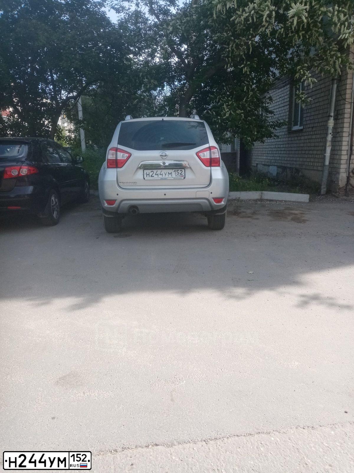 Фото автомобиля NISSAN TERRANO, 2015 — госномер Н244УМ152. Цвет: СЕРЕБРЕБРИСТО-СЕРЫЙ