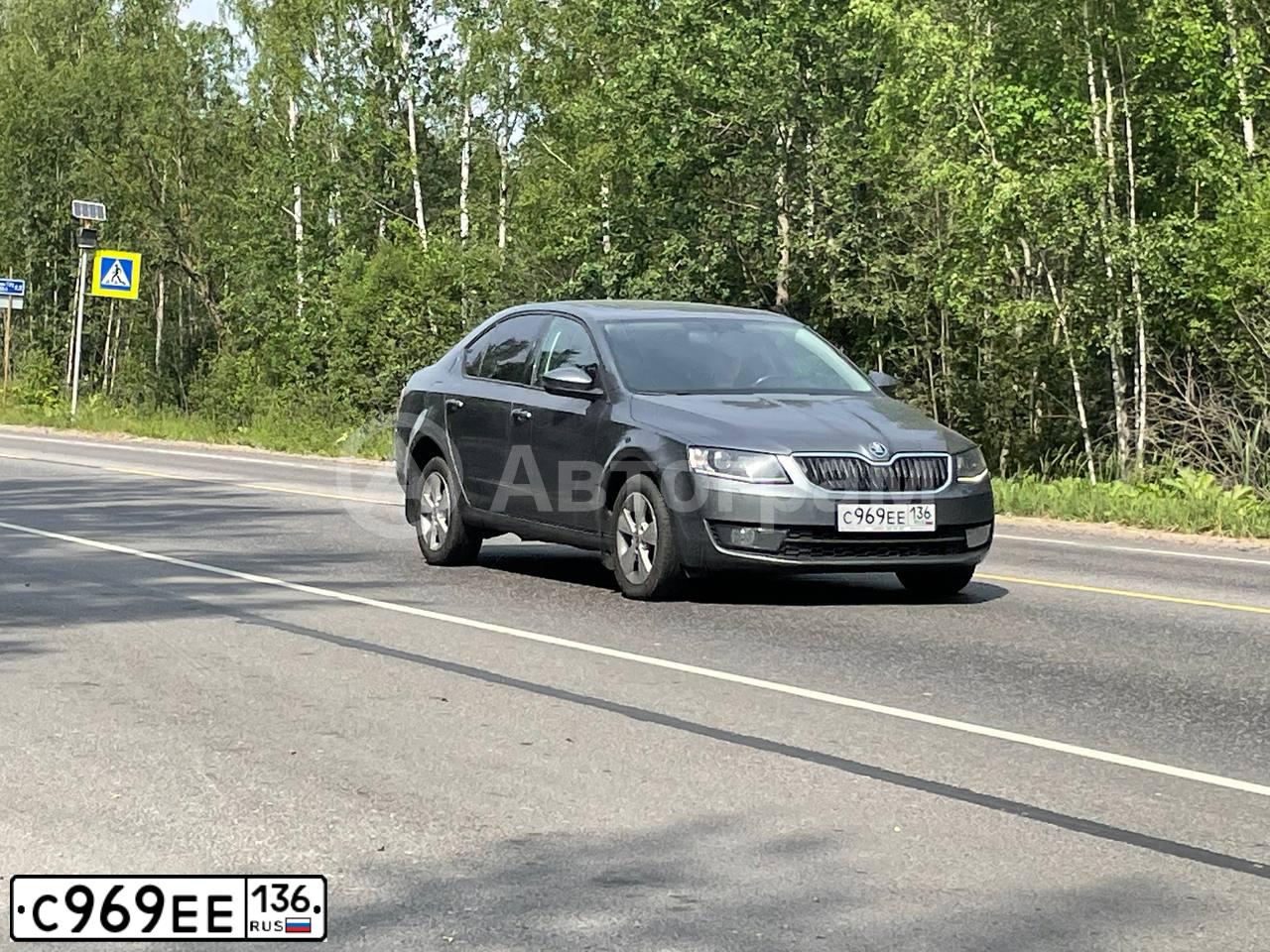 Фото автомобиля SKODA OCTAVIA, 2013 — госномер С969ЕЕ136. Цвет: ТЕМНО-СЕРЫЙ