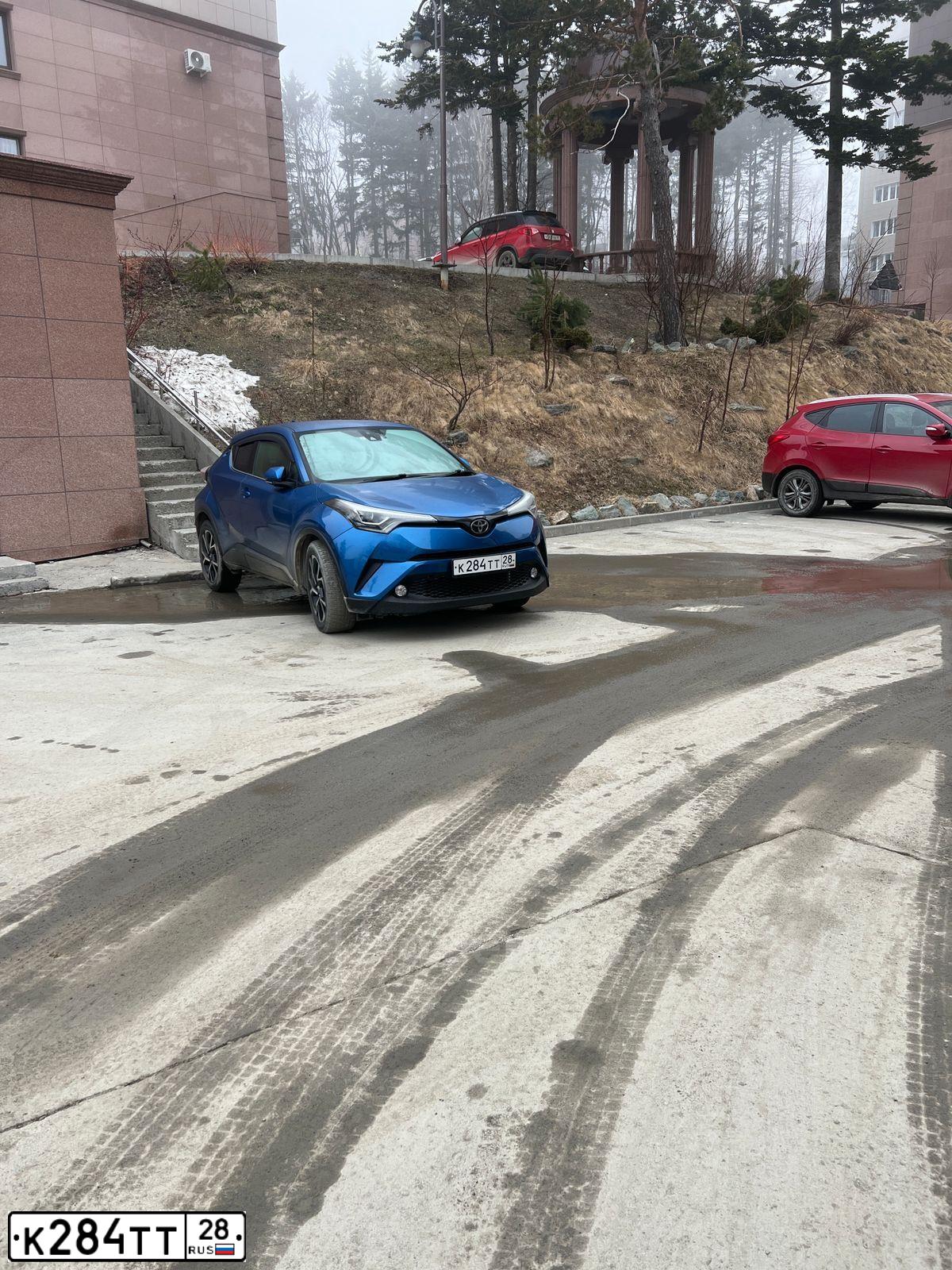 Фото автомобиля TOYOTA C-HR, 2017 — госномер К284ТТ28
