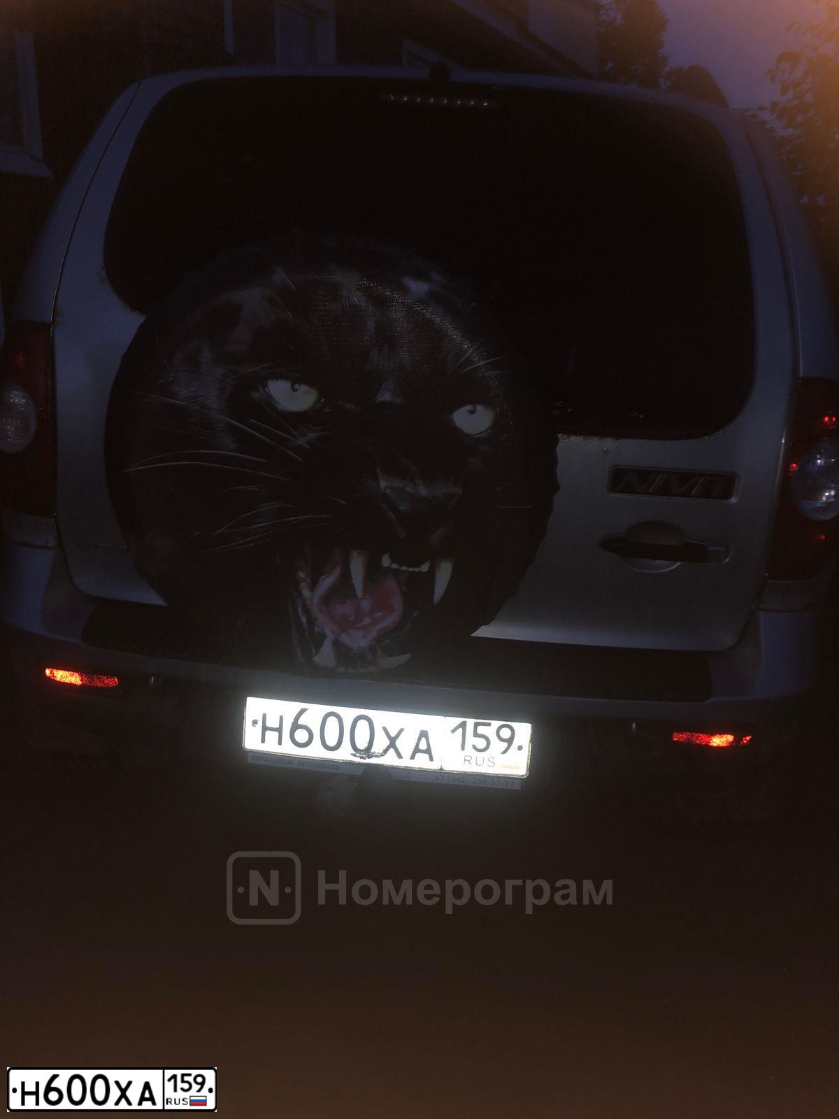 Фото автомобиля CHEVROLET NIVA, 2013 — госномер Н600ХА159. Цвет: Светло-Серебристый металлик