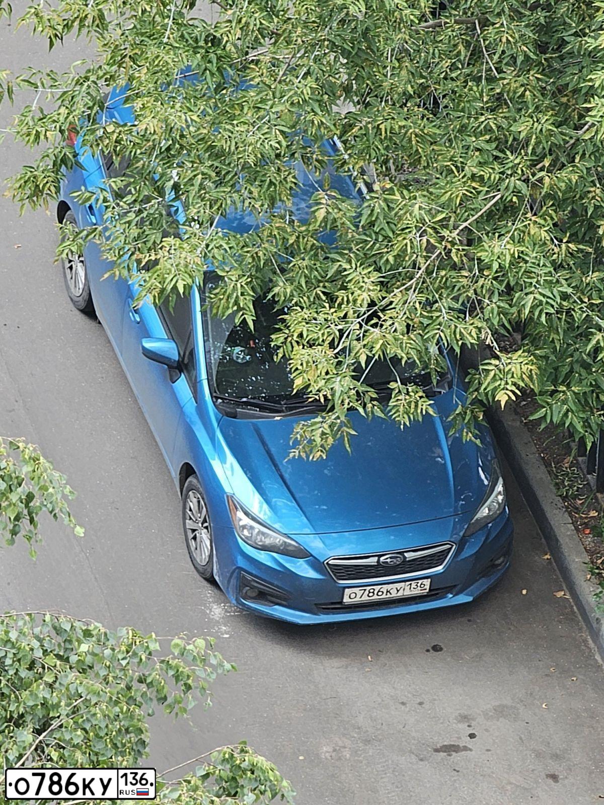 Фото автомобиля SUBARU IMPREZA, 2018 — госномер М746РР797