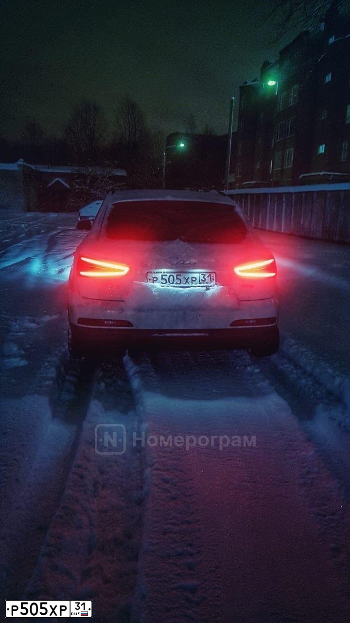 Фото автомобиля AUDI Q3, 2014 — госномер Р505ХР31. Цвет: Белый