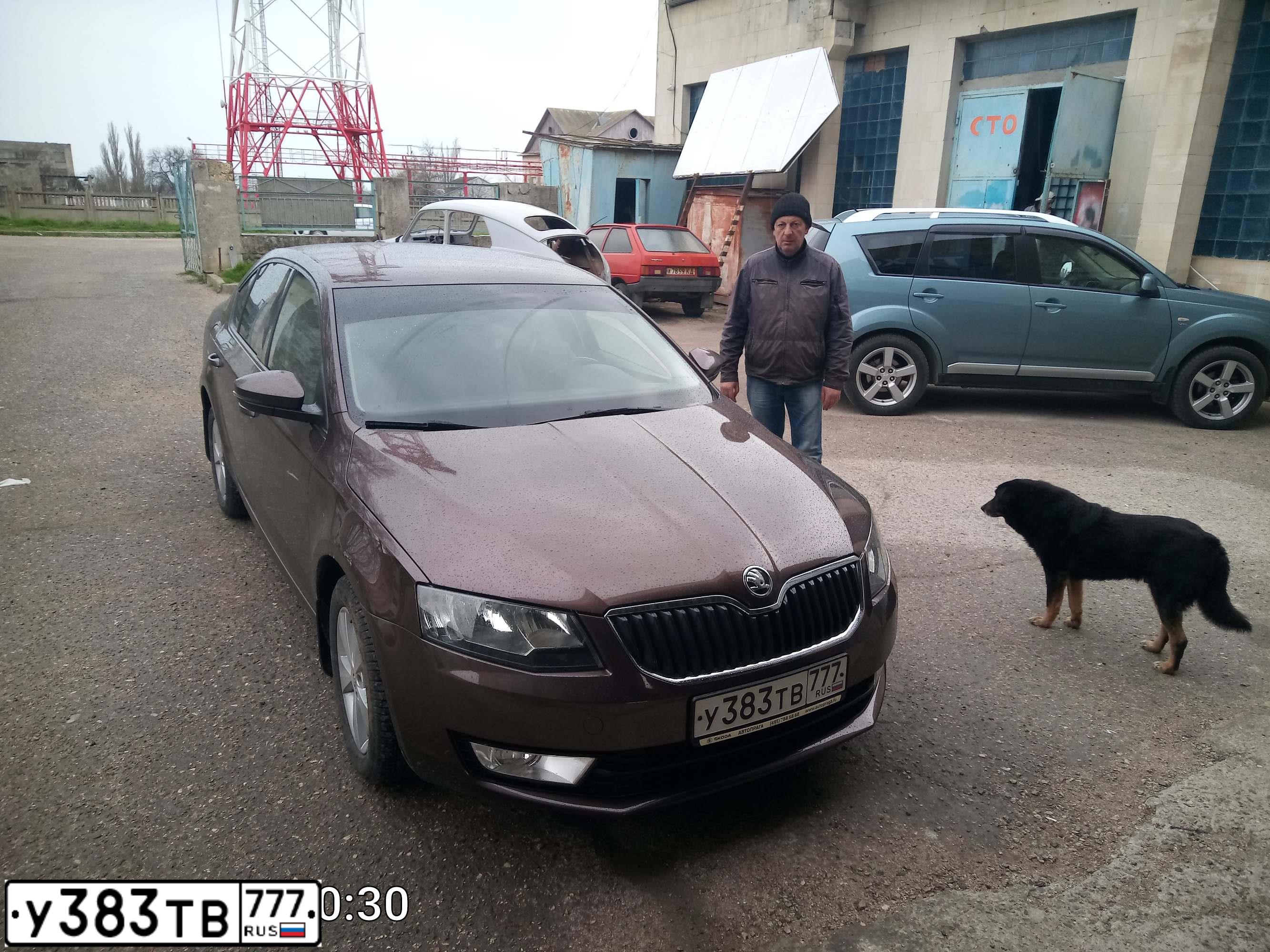 Фото автомобиля SKODA OCTAVIA, 2016 — госномер М146СО82. Цвет: Коричневый