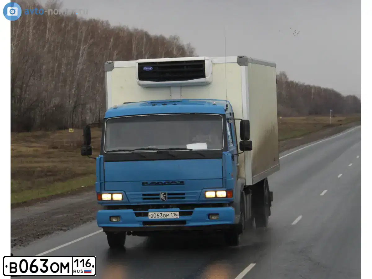 Фото автомобиля KAMAZ 4308 /4X2/, 2010 — госномер С894УМ12. Цвет: МЕДЕО