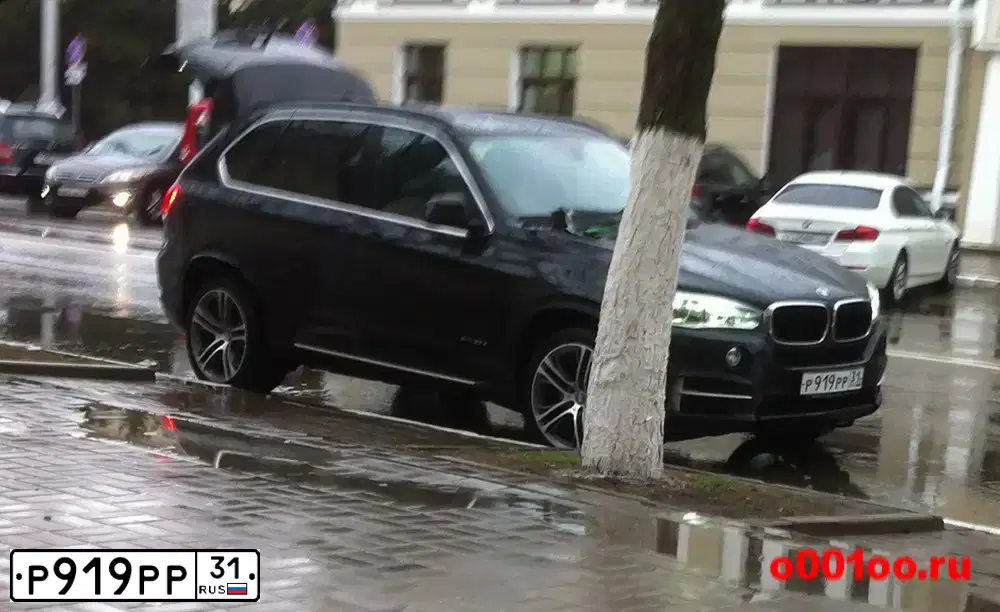 Фото автомобиля BMW X6, 2011 — госномер Н506ТР797. Цвет: ЧЕРНЫЙ