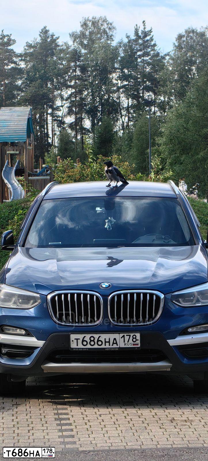 Фото автомобиля MERCEDES GLK-KLASSE, 2013 — госномер Т686НА178. Цвет: ЧЕРНЫЙ