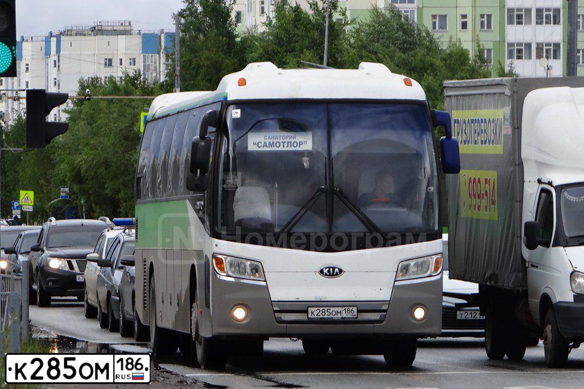 Фото автомобиля KIA A GRANDBIRD, 2008 — госномер Т858ХТ174