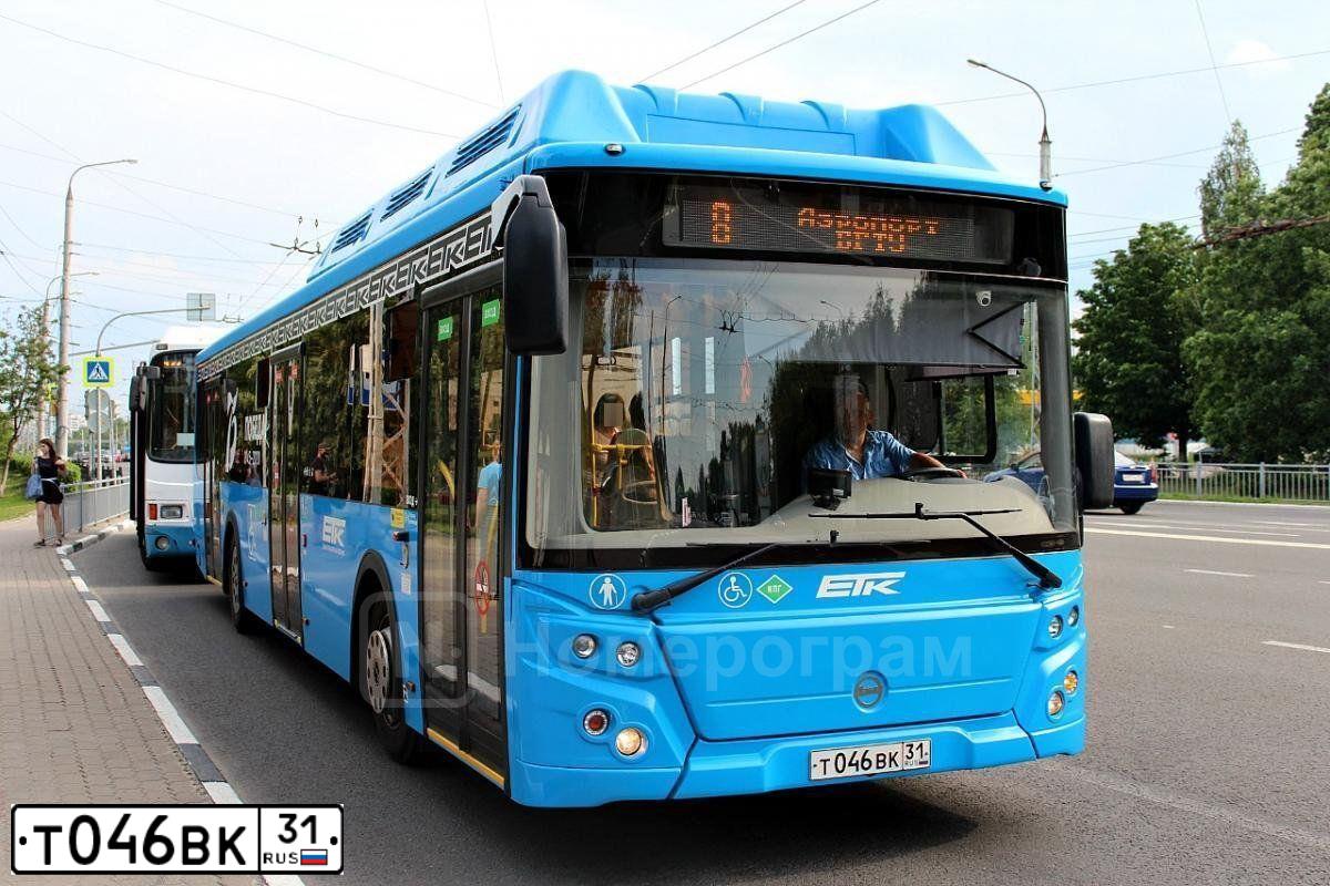 Фото автомобиля LIAZ 5292, 2019 — госномер Т046ВК31. Цвет: СИНИЙ