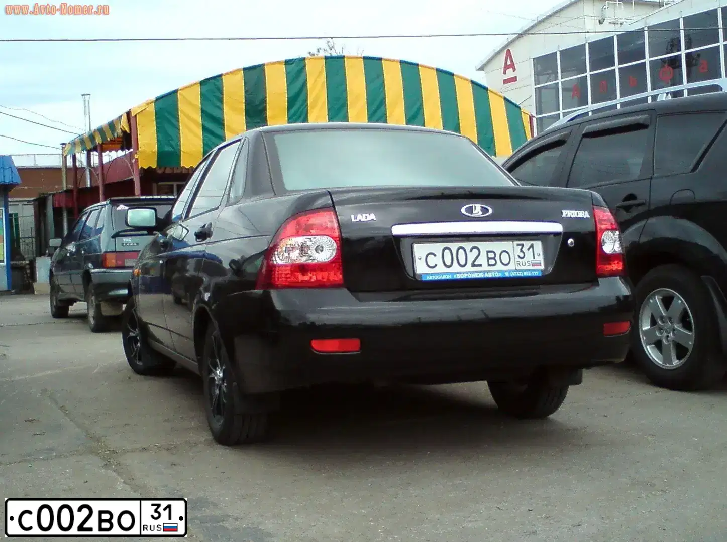 Фото автомобиля FORD FOCUS, 2012 — госномер О177ОМ31. Цвет: БЕЛЫЙ