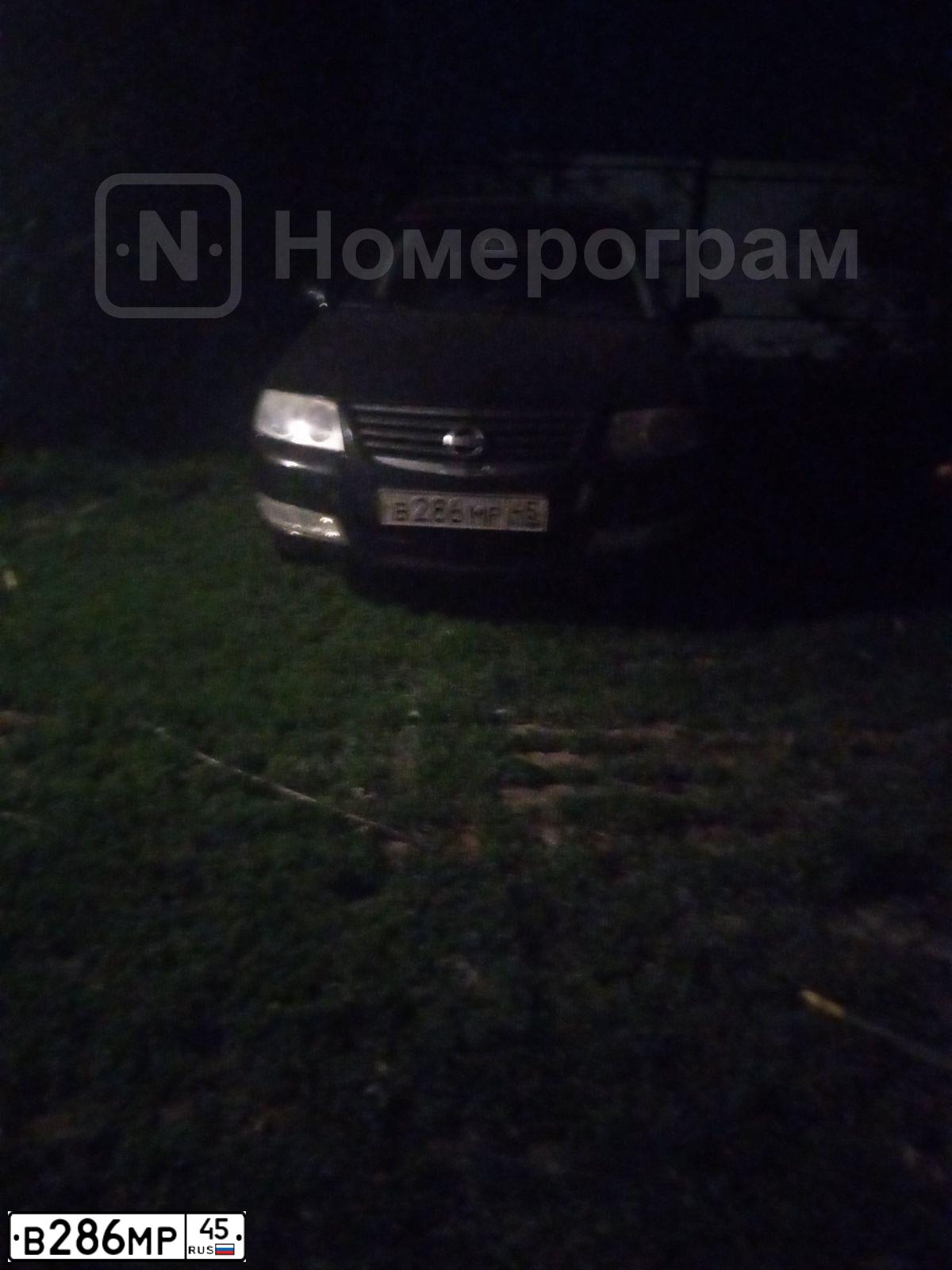 Фото автомобиля NISSAN ALMERA, 2009 — госномер В286МР45. Цвет: ЧЕРНЫЙ