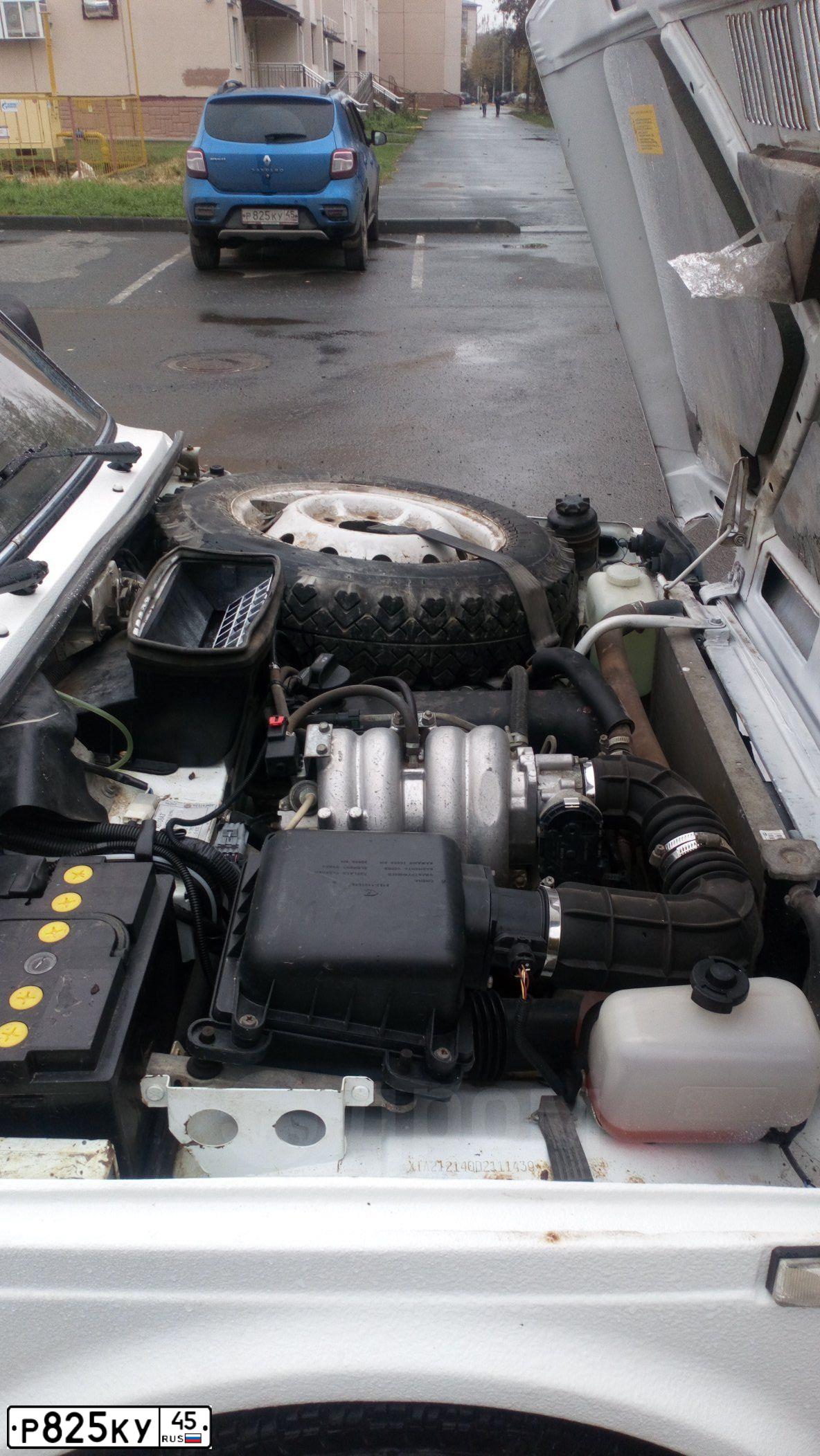 Фото автомобиля RENAULT SANDERO, 2014 — госномер Р825КУ45. Цвет: СВЕТЛО СИНИЙ
