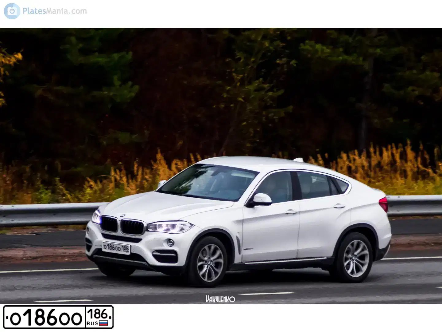 Фото автомобиля BMW X6, 2015 — госномер О186ОО186. Цвет: БЕЛЫЙ МЕТАЛЛИК