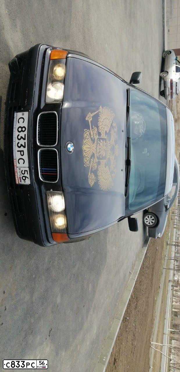 Фото автомобиля BMW SERIE 3, 1993 — госномер Е688НУ156. Цвет: ЧЕРНЫЙ