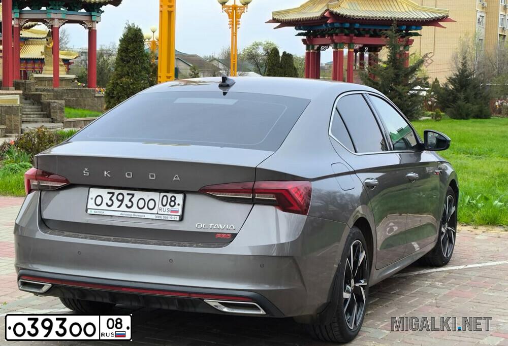 Фото автомобиля SKODA OCTAVIA, 2019 — госномер Е800ОО08