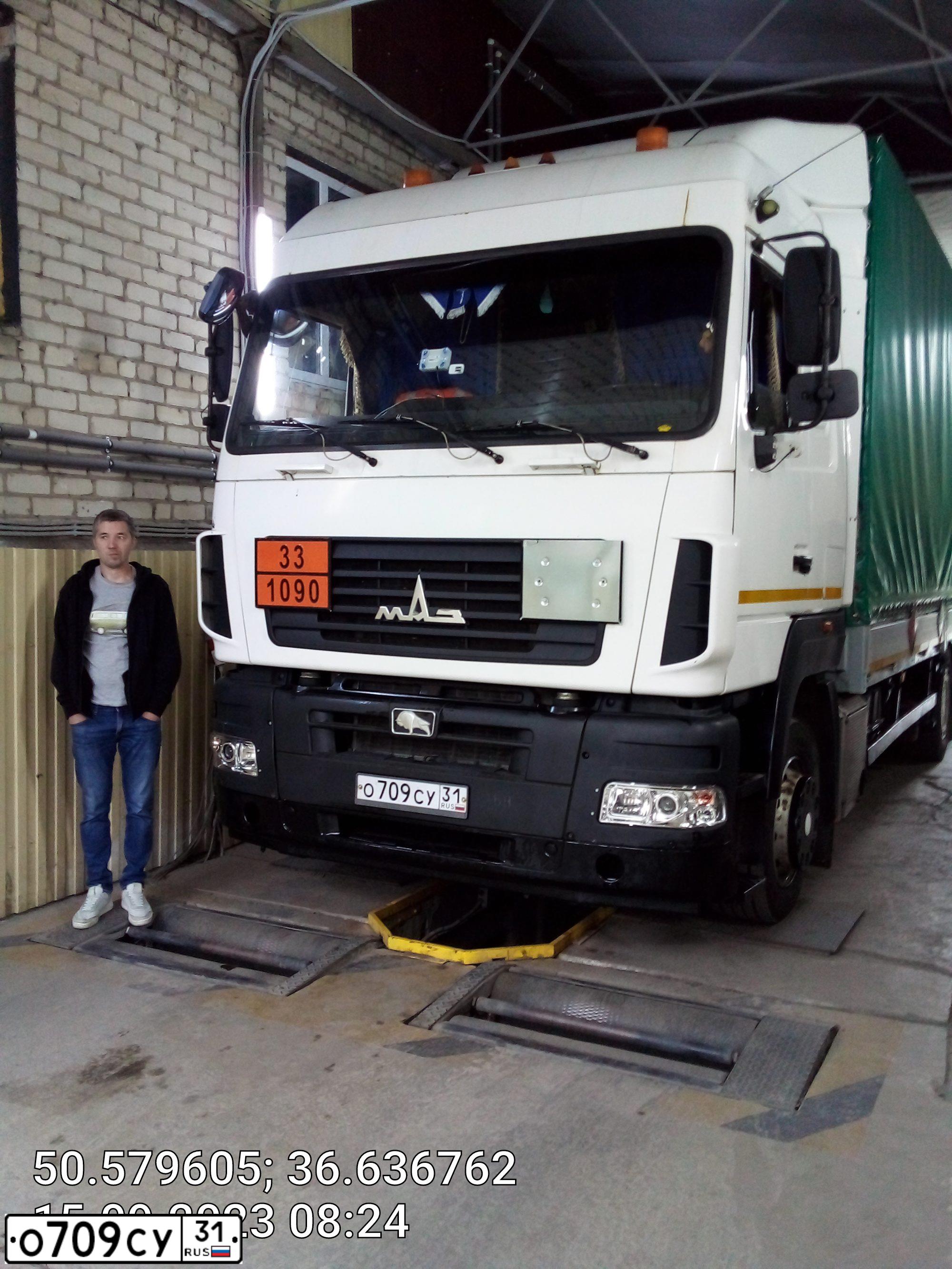 Фото автомобиля MAZ 6310 /6X2/, 2014 — госномер О709СУ31. Цвет: БЕЛЫЙ