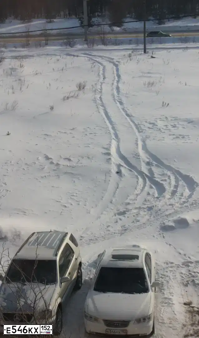 Фото автомобиля KIA OPIRUS, 2006 — госномер М888ХС61. Цвет: БЕЛЫЙ