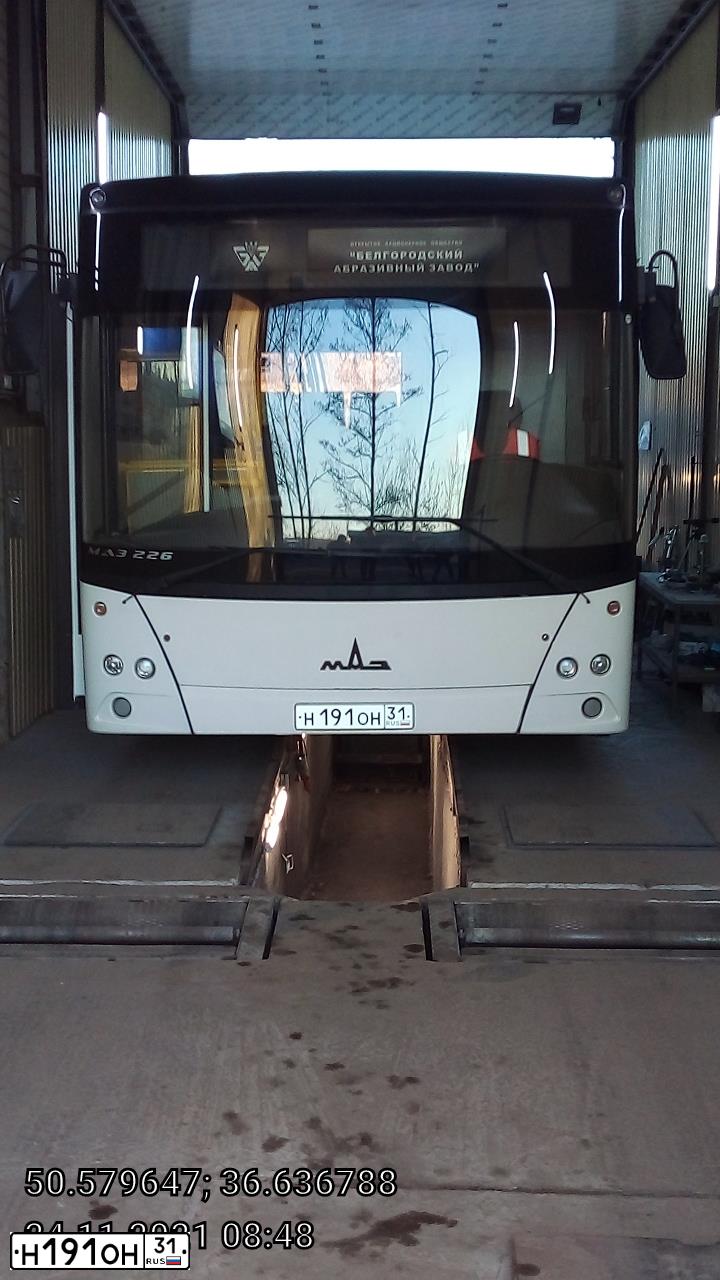 Фото автомобиля MAZ 206 - 226, 2013 — госномер Н191ОН31. Цвет: Белый