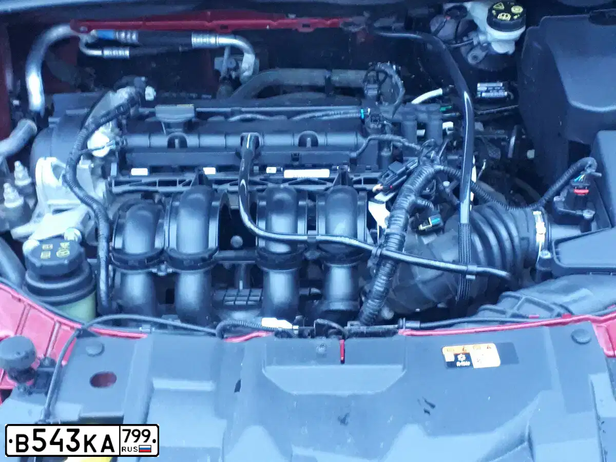 Фото автомобиля FORD FOCUS, 2018 — госномер В543КА799. Цвет: КРАСНЫЙ