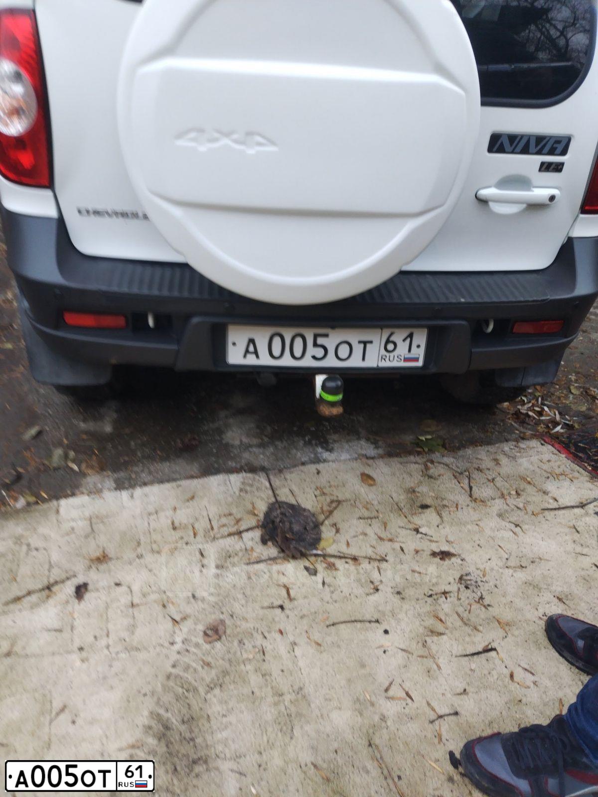 Фото автомобиля CHEVROLET NIVA, 2010 — госномер Т011ТУ161. Цвет: ЯРКО-БЕЛЫЙ