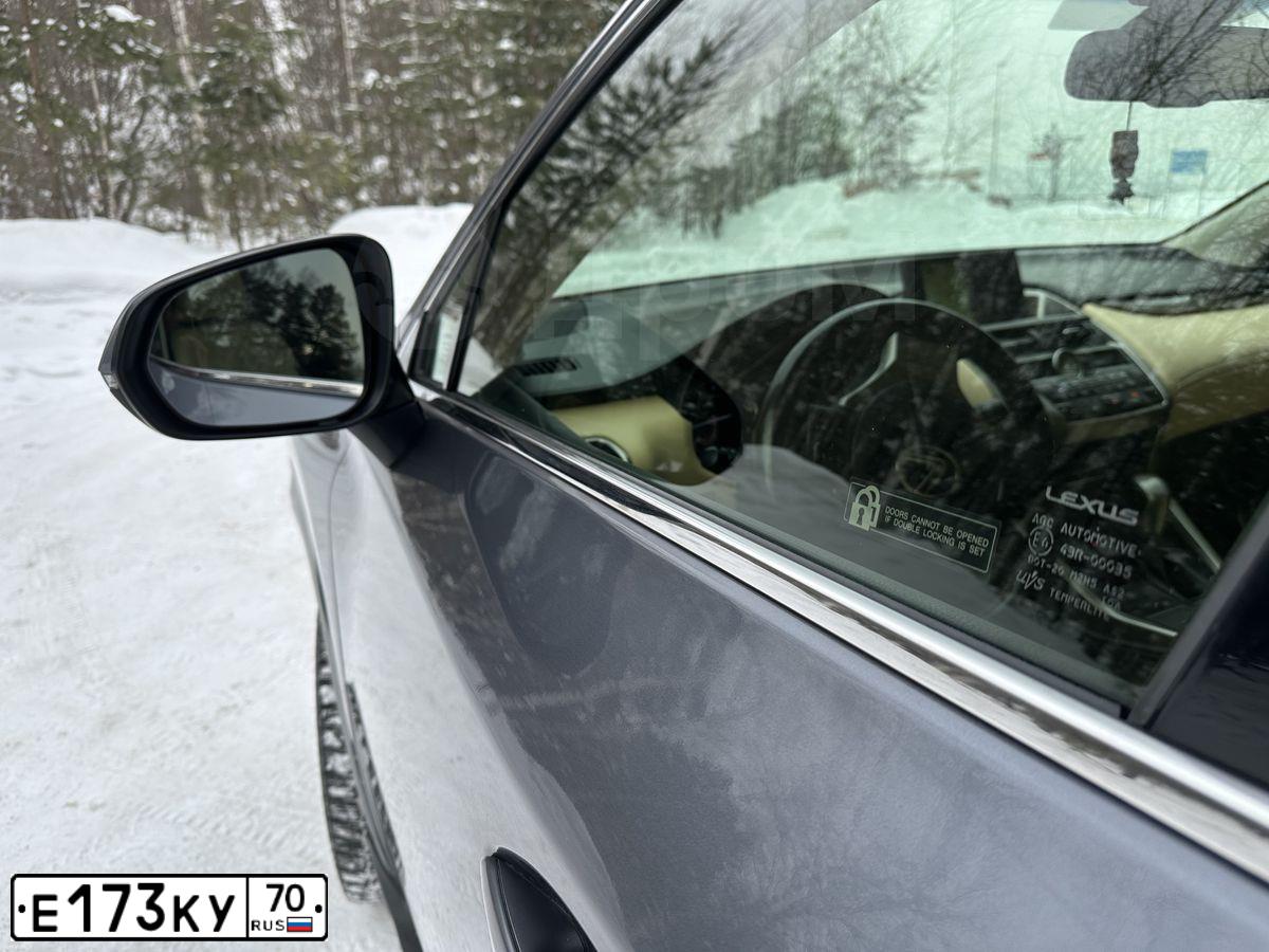 Фото автомобиля LEXUS NX, 2016 — госномер Х956УМ55. Цвет: СЕРЫЙ