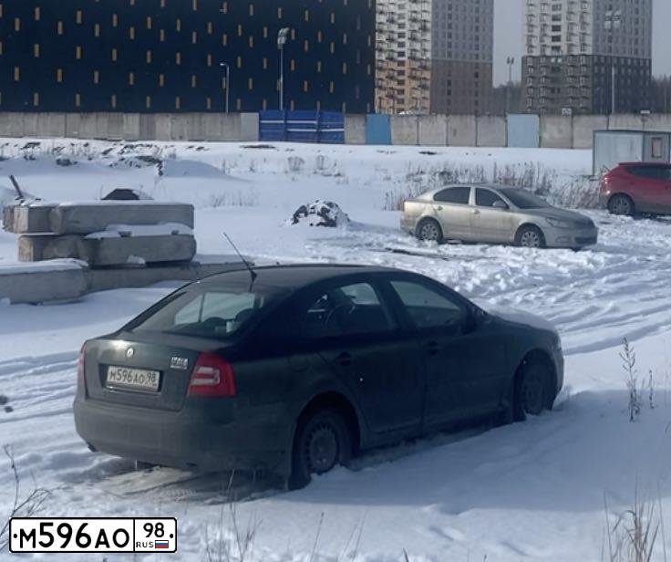 Фото автомобиля SKODA OCTAVIA, 2006 — госномер М596АО98. Цвет: ЗЕЛЕНЫЙ