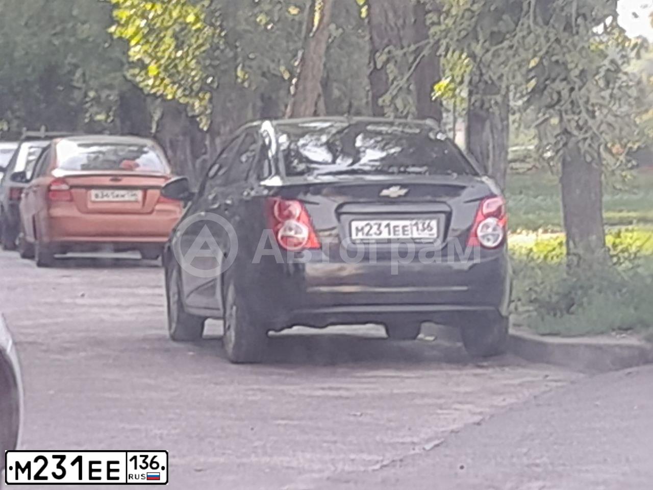 Фото автомобиля CHEVROLET AVEO, 2013 — госномер М231ЕЕ136. Цвет: ЧЕРНЫЙ