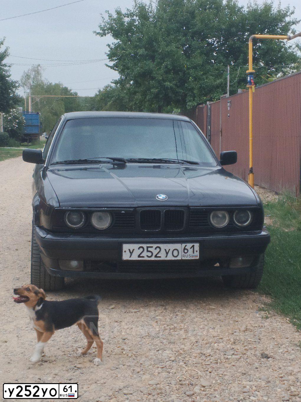 Фото автомобиля BMW 520, 1992 — госномер О250ОТ193