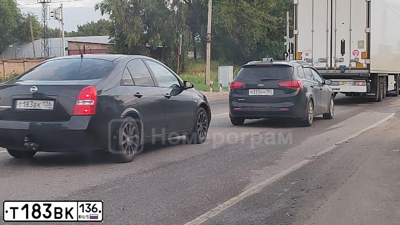 Фото автомобиля NISSAN PRIMERA, 2005 — госномер Т183ВК136. Цвет: ЧЕРНЫЙ