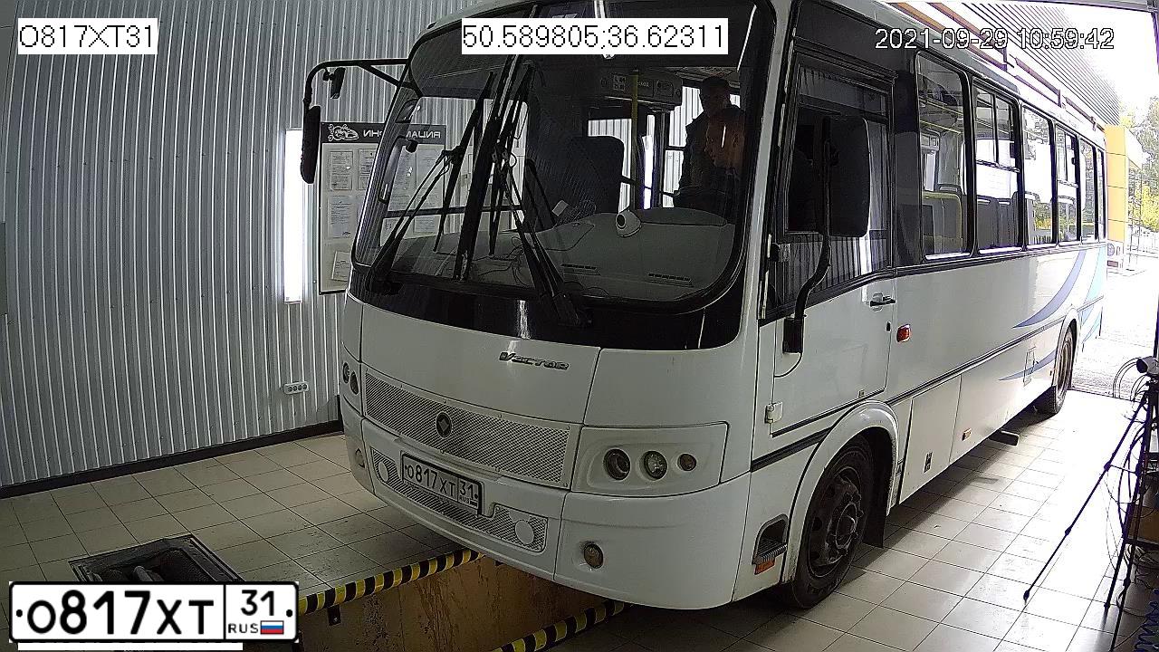 Фото автомобиля PAZ 3204, 2015 — госномер О817ХТ31. Цвет: Белый