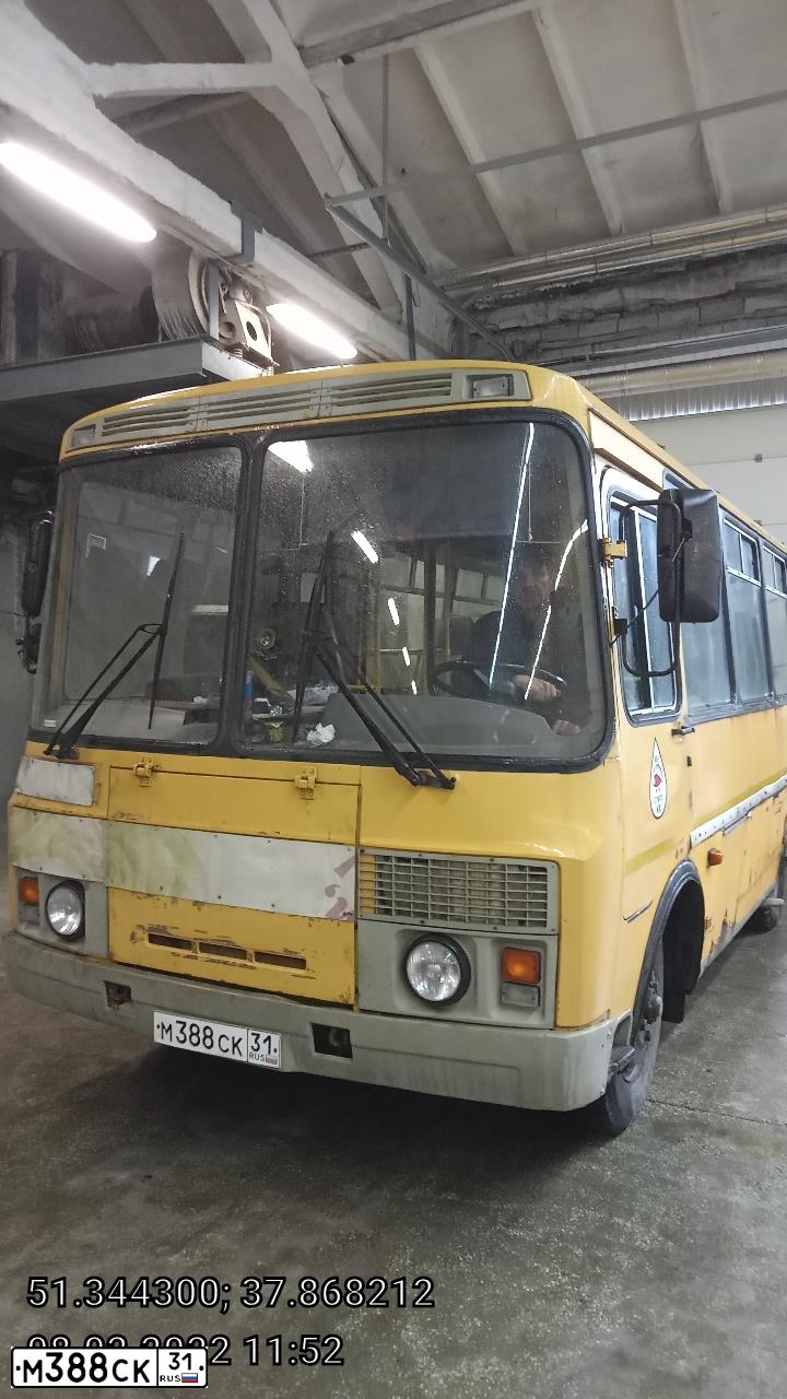 Фото автомобиля PAZ Z 3205, 2008 — госномер М388СК31. Цвет: ЖЁЛТЫЙ