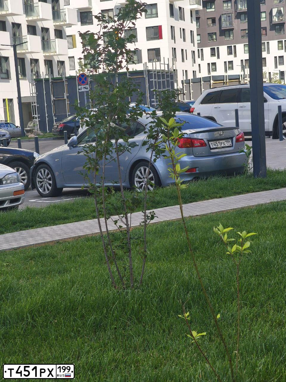 Фото автомобиля LEXUS IS, 2008 — госномер Т451РХ199. Цвет: СВЕТЛО-ГОЛУБОЙ