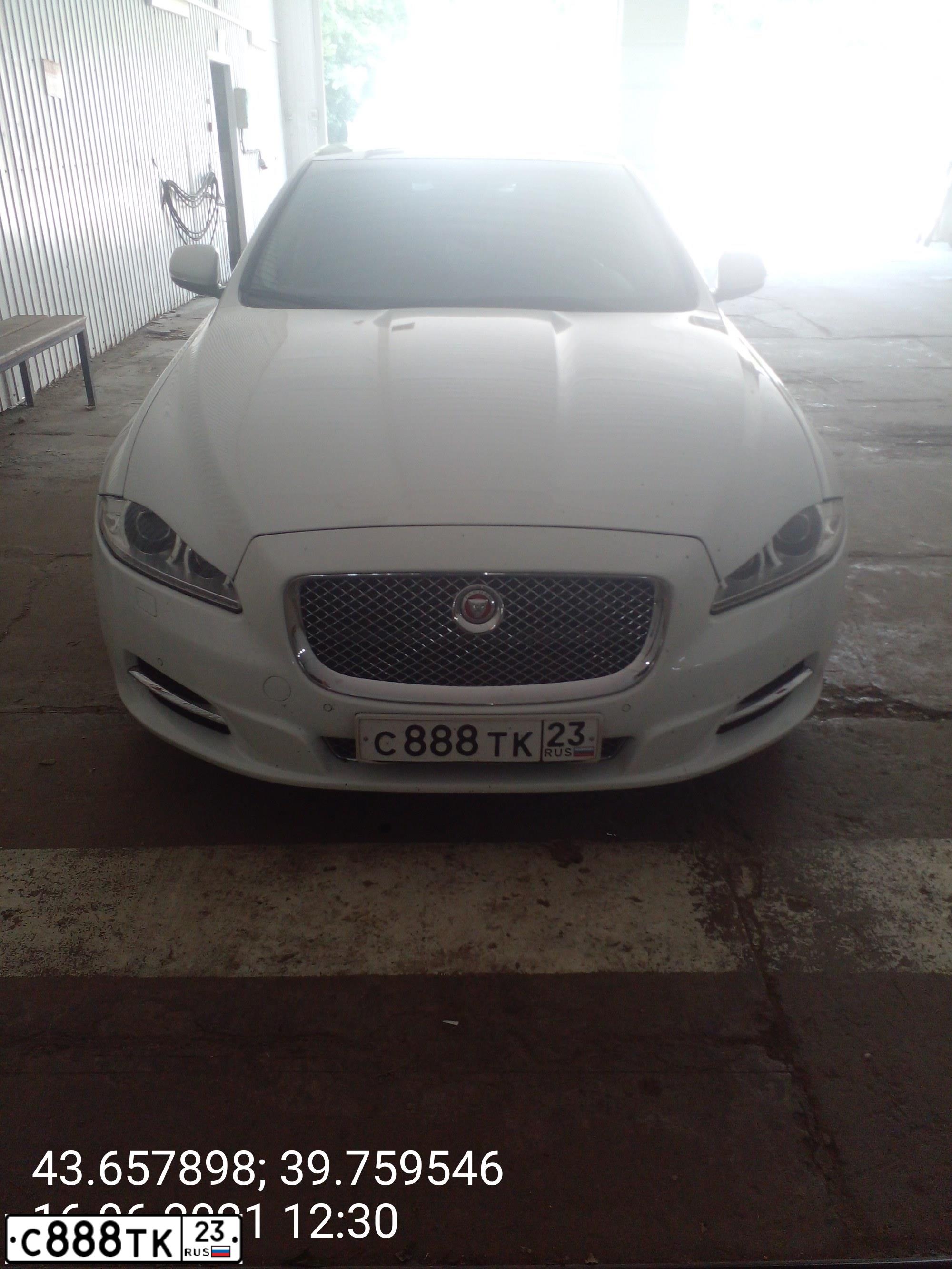 Фото автомобиля JAGUAR XJ-SERIE, 2013 — госномер С888ТК23. Цвет: Белый