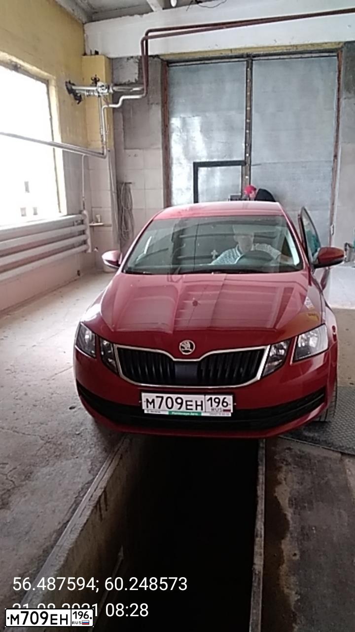 Фото автомобиля SKODA OCTAVIA, 2017 — госномер М709ЕН196. Цвет: ТЕМНО-КРАСНЫЙ