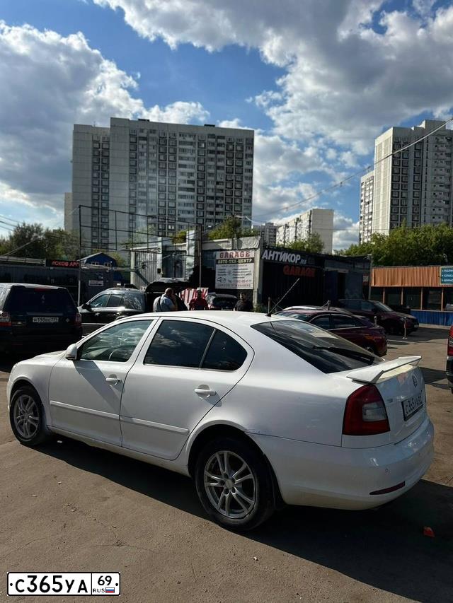 Фото автомобиля SKODA OCTAVIA, 2009 — госномер С365УА69. Цвет: Белый