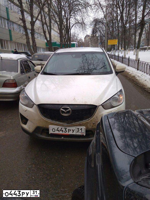 Фото автомобиля MAZDA CX-5, 2012 — госномер Х771ТХ152. Цвет: Белый