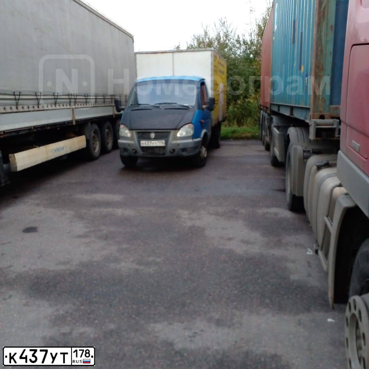 Фото автомобиля GAZ 3302 EL, 2011 — госномер К437УТ178. Цвет: синий