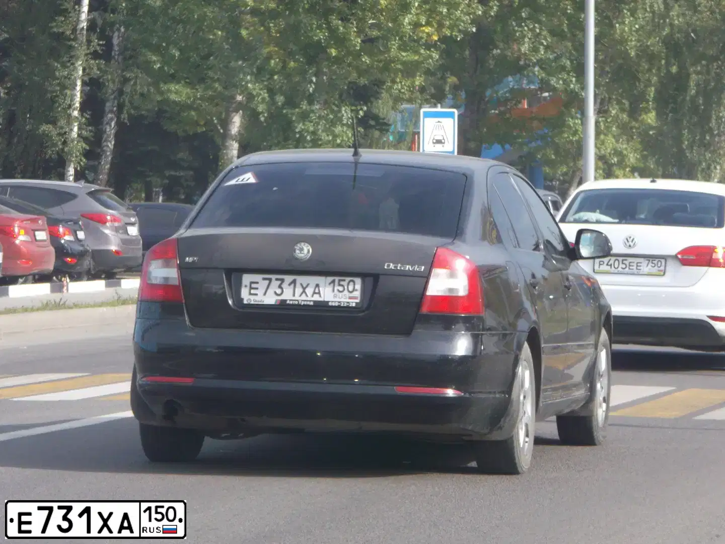 Фото автомобиля SKODA OCTAVIA, 2009 — госномер Е731ХА150. Цвет: ЧЕРНЫЙ