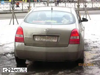 Фото автомобиля NISSAN PRIMERA, 2004 — госномер Т110ЕА198. Цвет: СЕРО-ЗЕЛЕНЫЙ