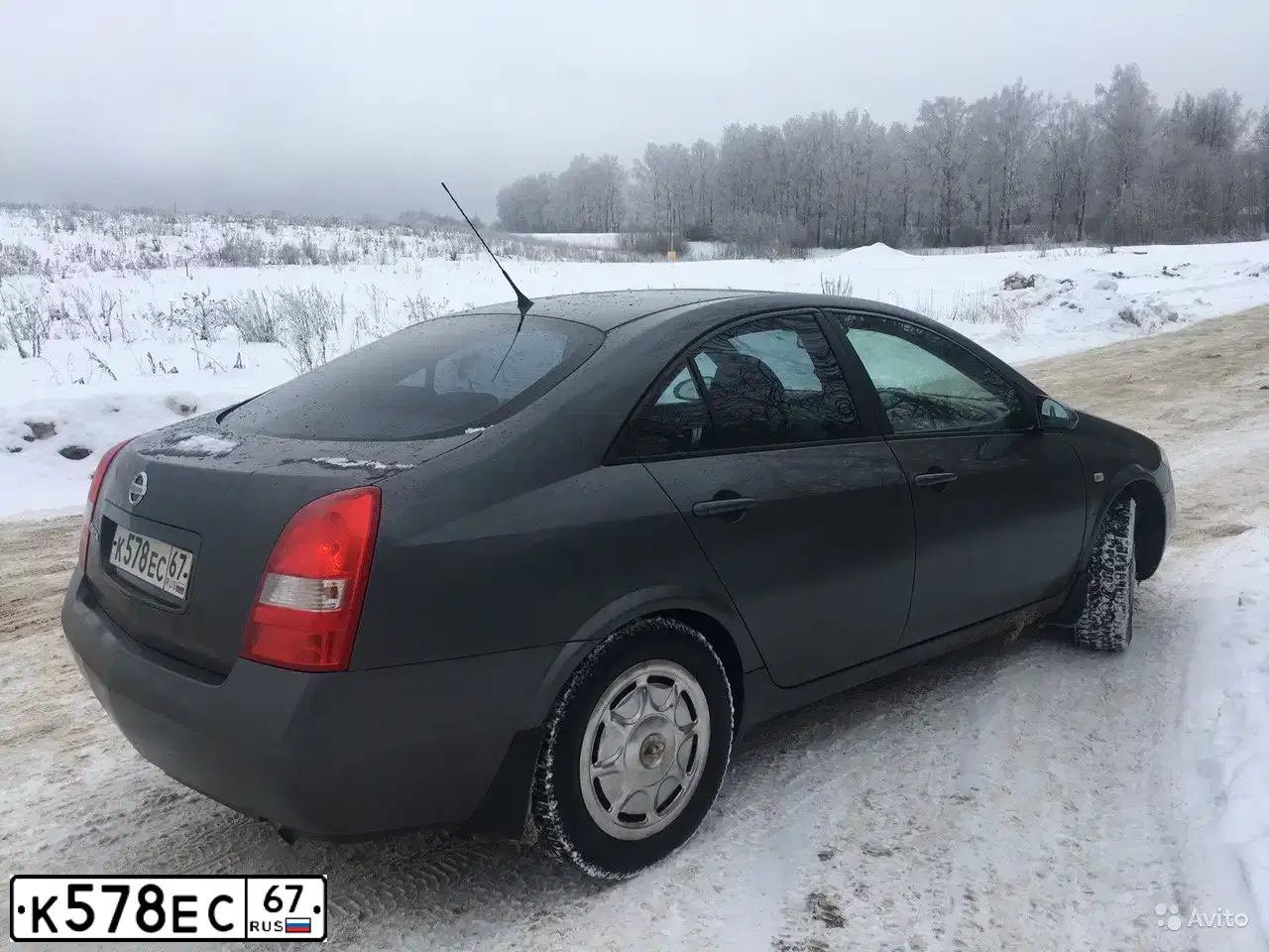 Фото автомобиля NISSAN PRIMERA, 2004 — госномер С385АТ57