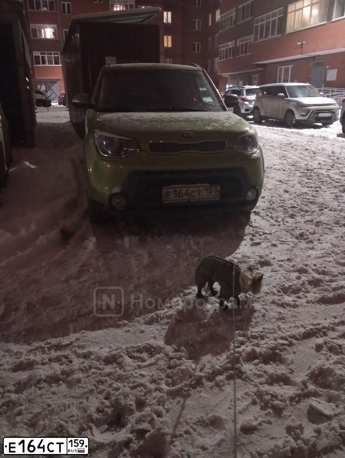 Фото автомобиля KIA SOUL, 2014 — госномер Е164СТ159. Цвет: ЗЕЛЕНЫЙ