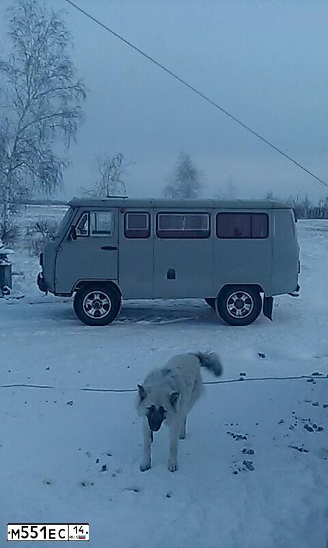 Фото автомобиля UAZ 3741, 2005 — госномер М551ЕС14. Цвет: БЕЛАЯ НОЧЬ