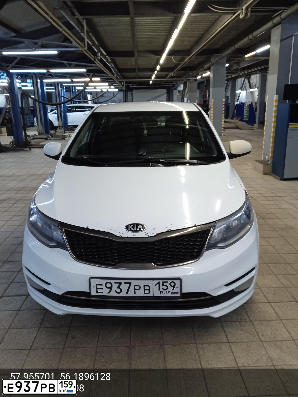 Фото автомобиля KIA RIO, 2015 — госномер Е937РВ159. Цвет: БЕЛЫЙ