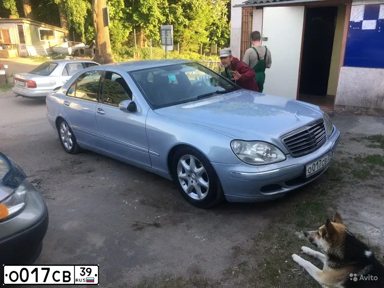 Фото автомобиля MERCEDES S-KLASSE, 2003 — госномер О017СВ39. Цвет: СВЕТЛО-ГОЛУБОЙ