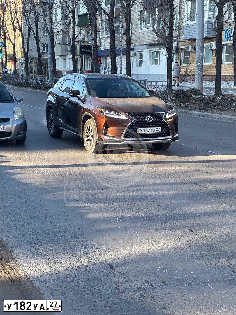 Фото автомобиля LEXUS RX, 2019 — госномер У182УА27. Цвет: Коричневый