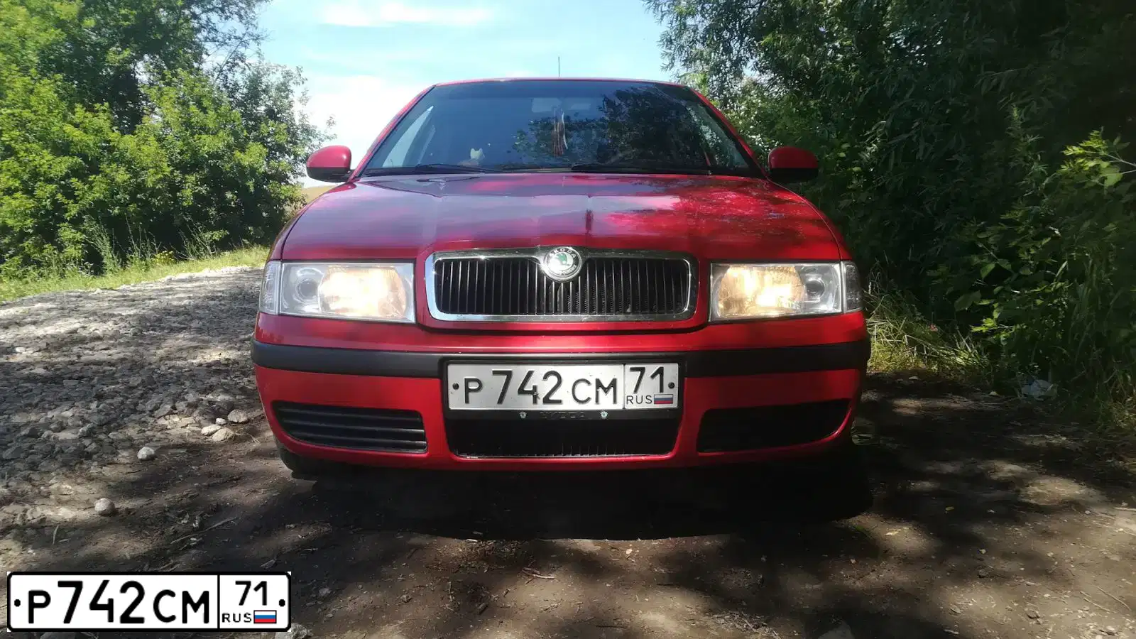 Фото автомобиля SKODA OCTAVIA, 2009 — госномер Р742СМ71. Цвет: КРАСНЫЙ