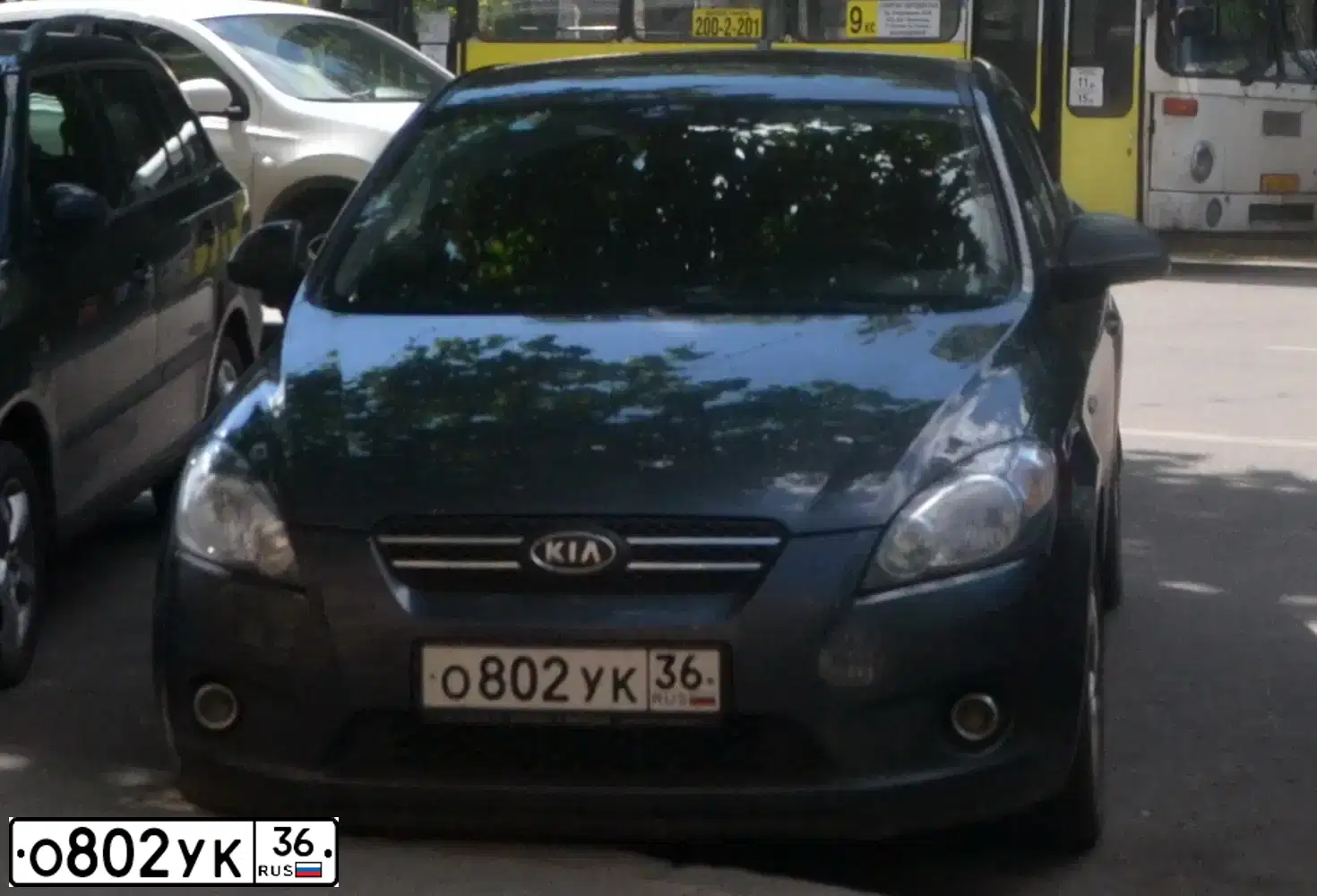 Фото автомобиля KIA CEE'D, 2009 — госномер О802УК36. Цвет: СЕРЫЙ