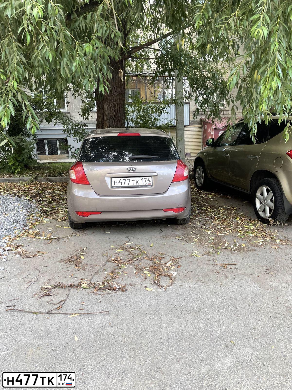 Фото автомобиля KIA CEE'D, 1910 — госномер Н477ТК174. Цвет: БЕЖЕВЫЙ