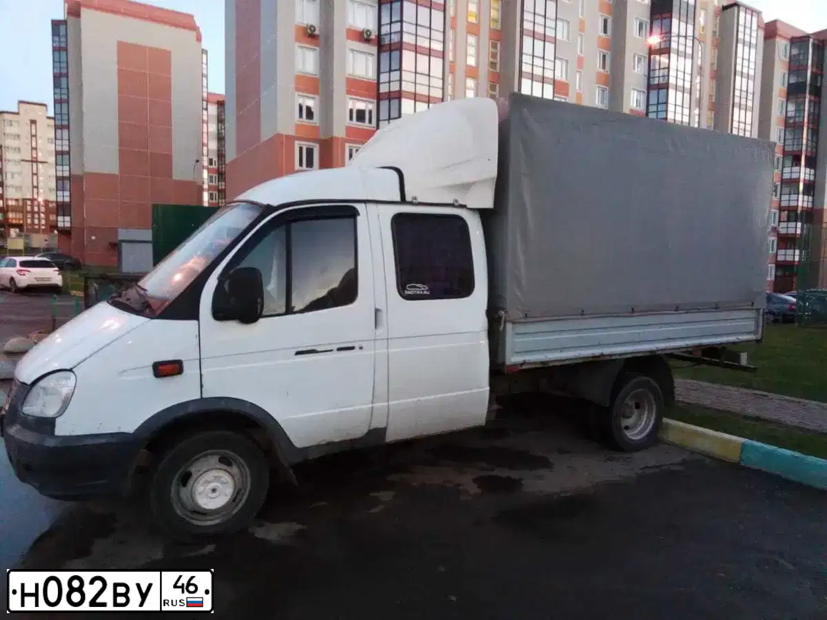 Фото автомобиля GAZ 3302, 2010 — госномер Х491РЕ31. Цвет: Белый